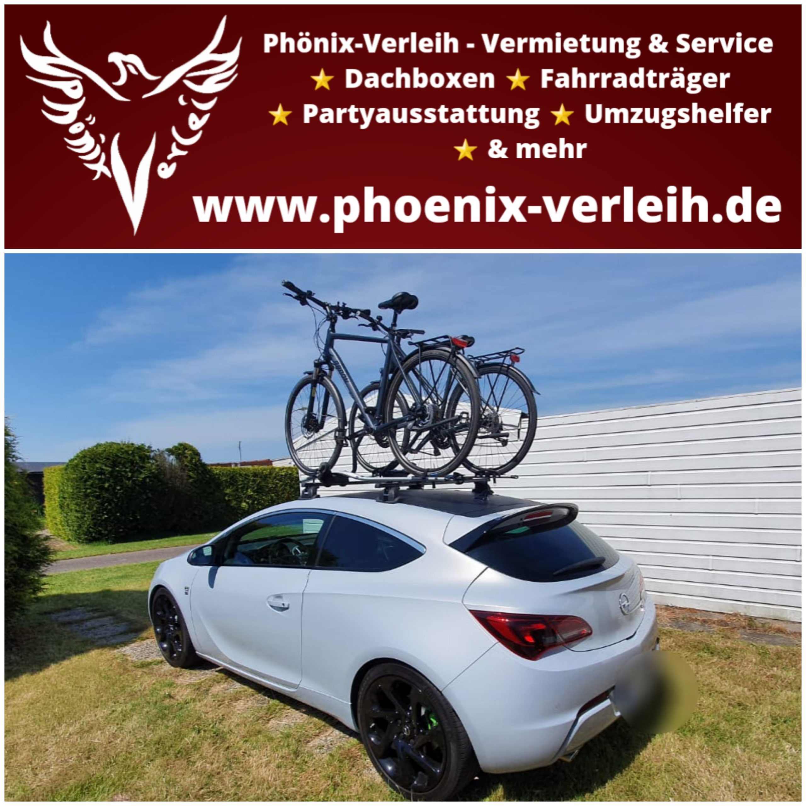 Fahrraddachträger Thule ProRide 591 598 Vermietung